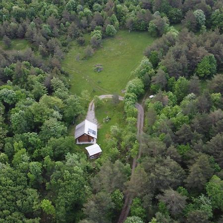Podklanci-House In The Forest Knezak Ngoại thất bức ảnh